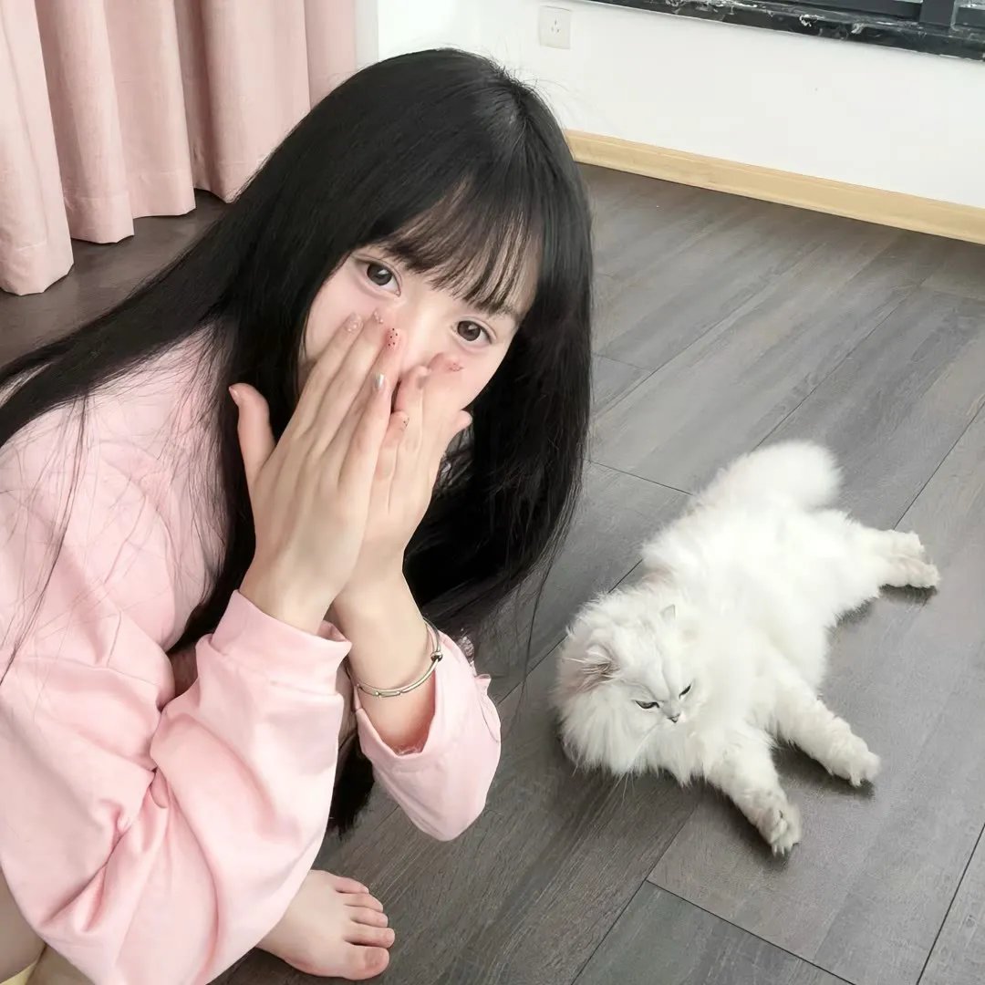野马梅莎